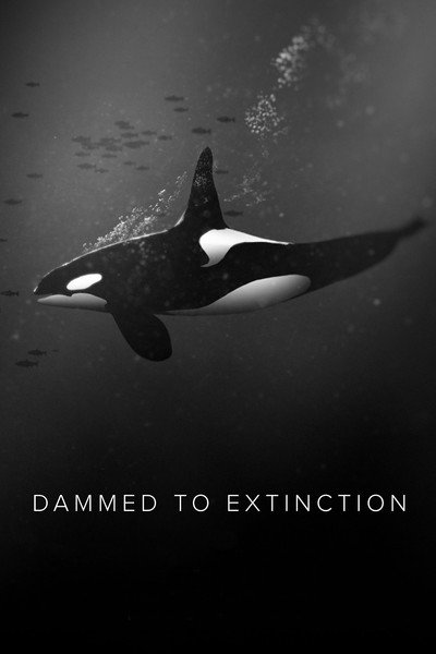 Póster de Dammed to Extinction