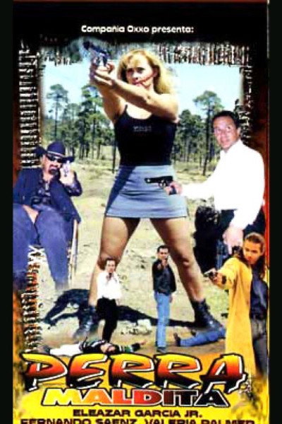 Póster de Damn Bitch