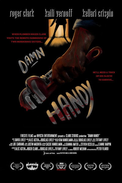 Póster de Damn Handy