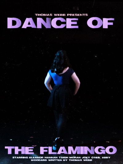 Póster de Dance of the Flamingo