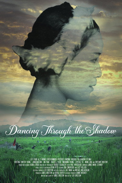 Póster de Dancing Through the Shadow