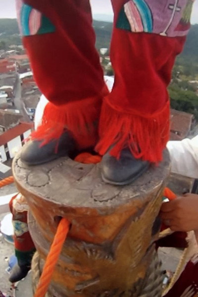 Póster de Dancing with Voladores