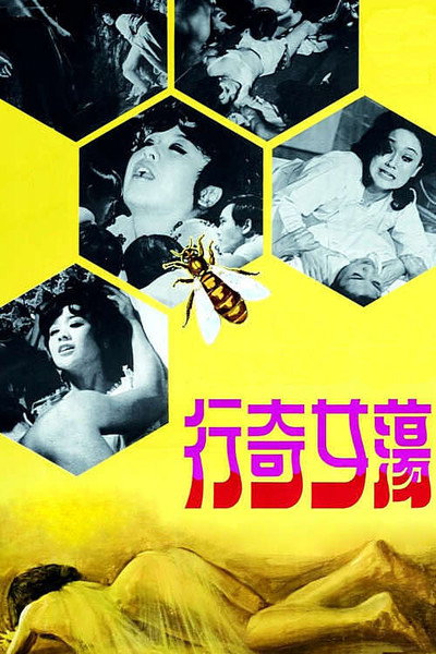 Póster de Dang nu ji hang