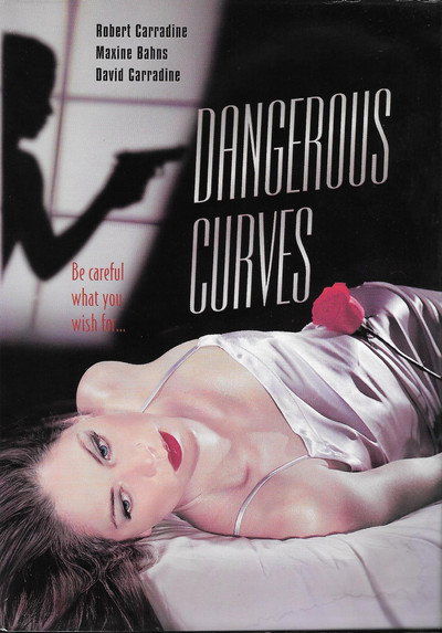 Póster de Dangerous Curves