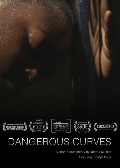 Póster de Dangerous Curves