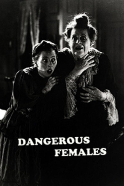 Póster de Dangerous Females
