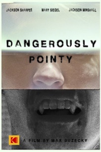 Póster de Dangerously Pointy