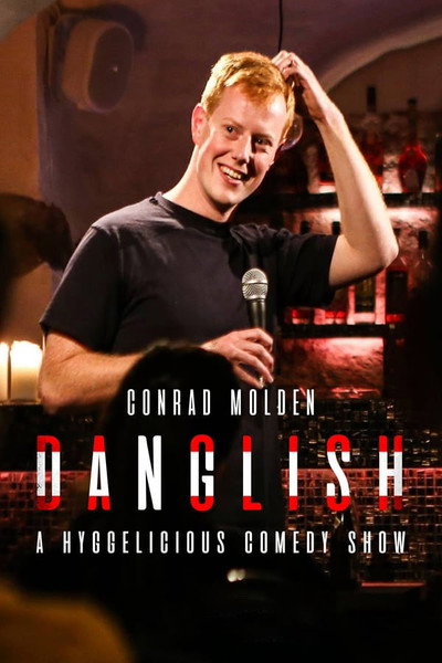 Póster de Danglish 1