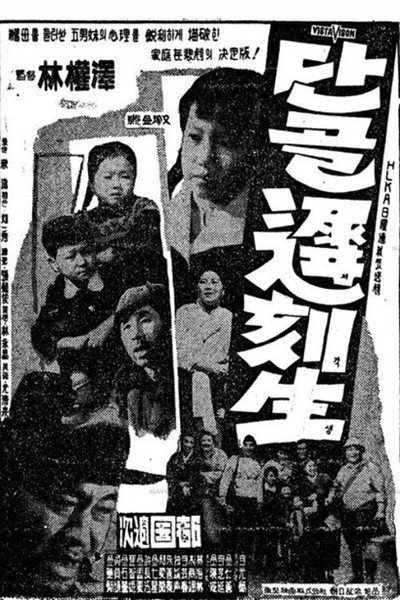 Póster de Dangol jikaksaeng