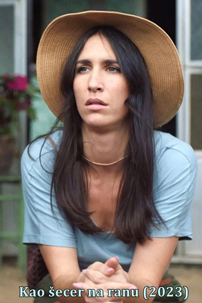 Póster de Danica