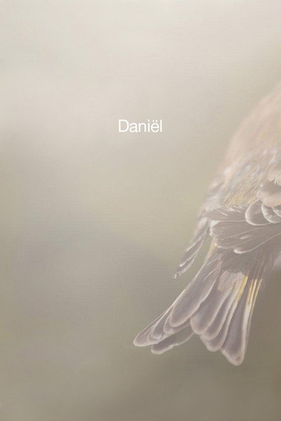 Póster de Daniel