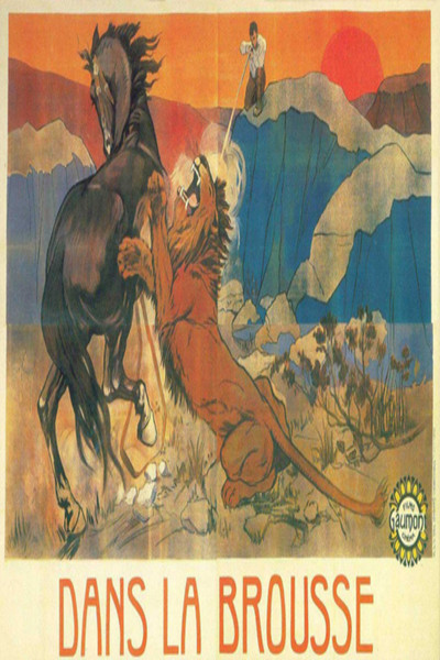 Póster de Dans la brousse