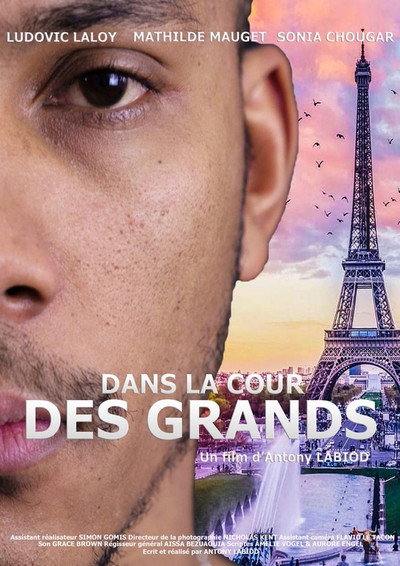 Póster de Dans la cour des grands