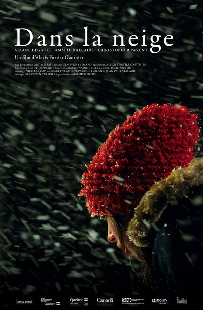 Póster de Dans la neige