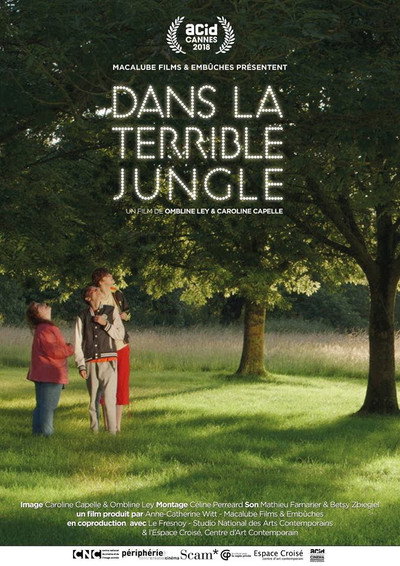 Póster de Dans la terrible jungle