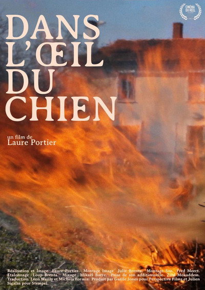 Póster de Dans l'oeil du chien