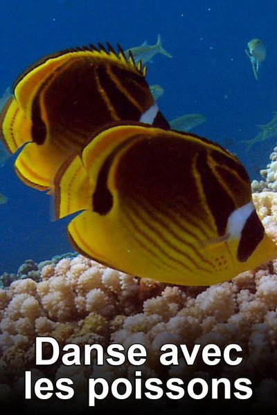 Póster de Danse avec les poissons