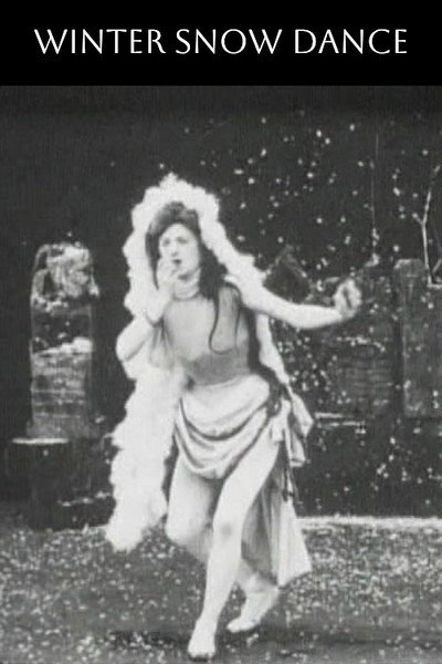 Póster de Danse des saisons