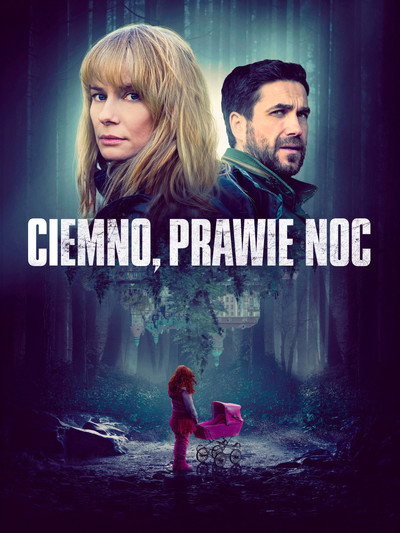 Póster de Dark, Almost Night