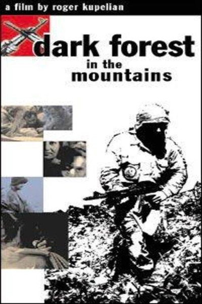 Póster de Dark Forest in the Mountains