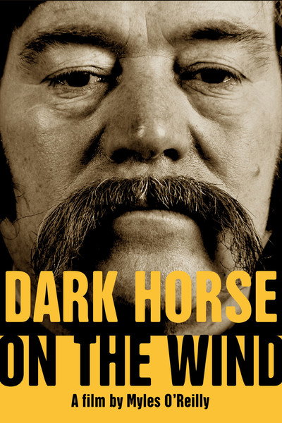 Póster de Dark Horse on the Wind