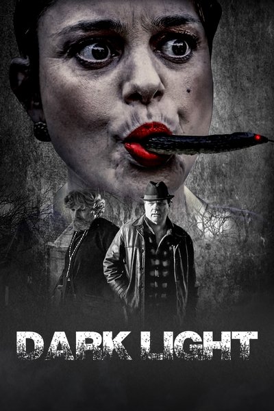 Póster de Dark Light