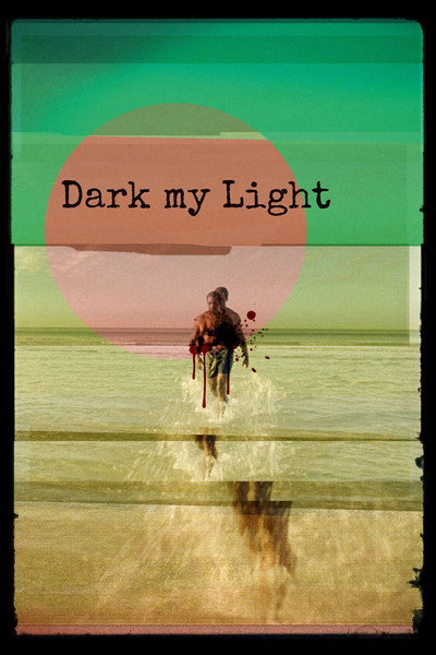Póster de Dark My Light