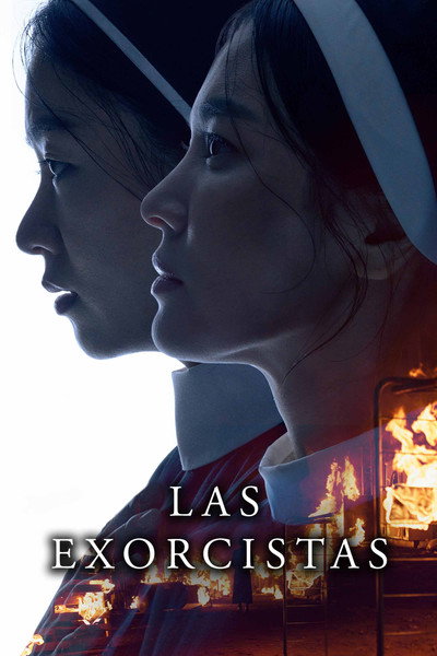 Póster de Dark Nuns