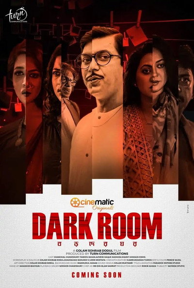 Póster de Dark Room
