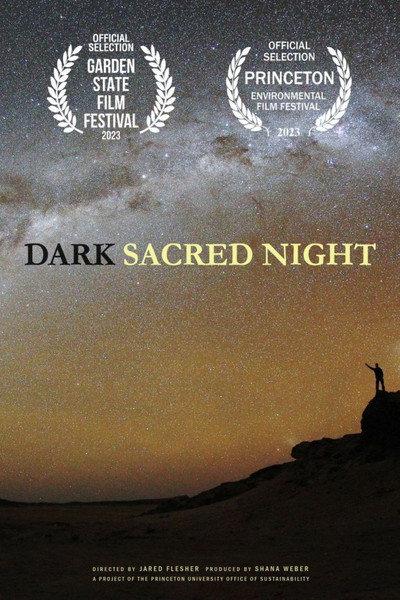 Póster de Dark Sacred Night