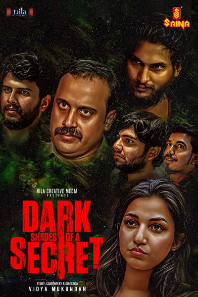 Póster de Dark Shades of a Secret