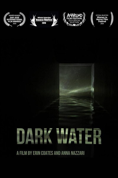 Póster de Dark Water