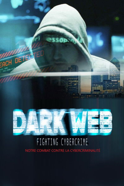 Póster de Dark Web