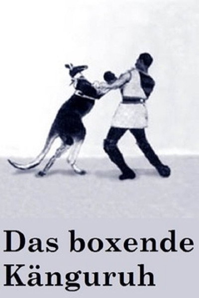 Póster de Das boxende Känguruh