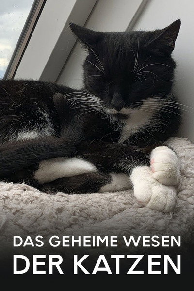Póster de Das geheime Wesen der Katzen