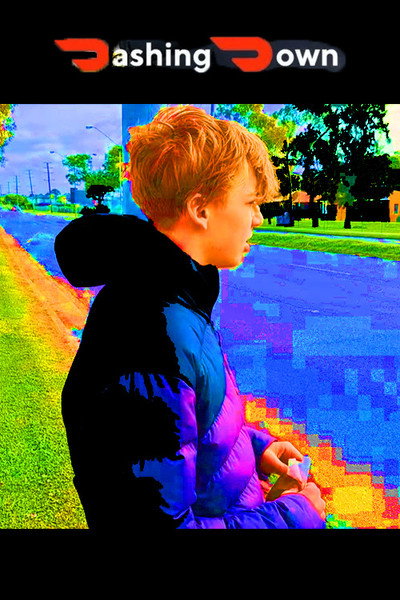Póster de Dashing Down