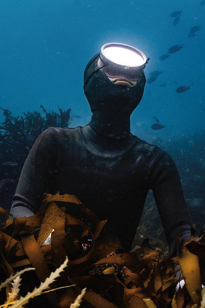 Póster de Daughter of the Sea: A Story of Becoming Haenyeo