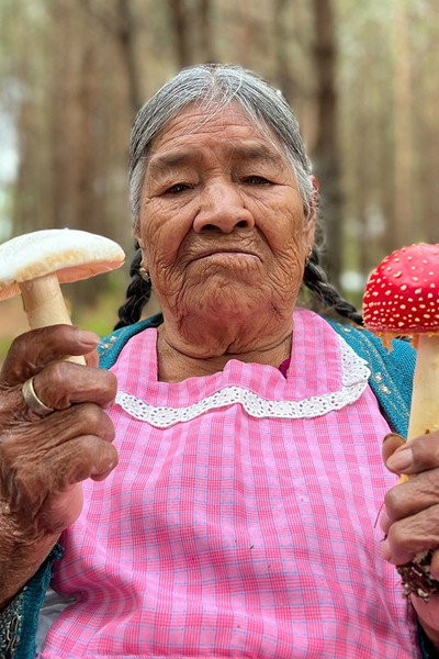 Póster de Daughters of the Forest
