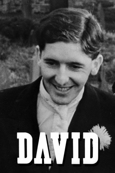 Póster de David