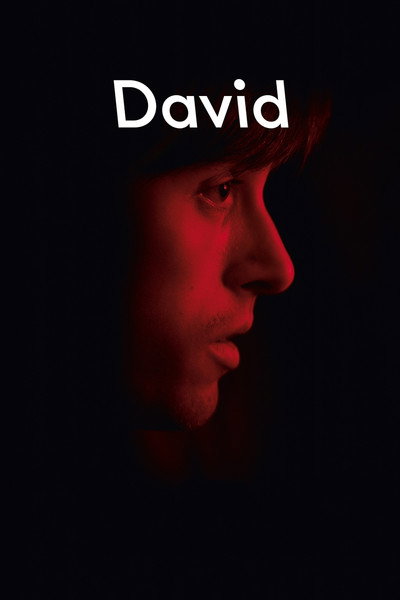 Póster de David
