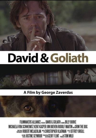 Póster de David and Goliath