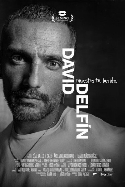 Póster de David Delfín. Muestra tu herida