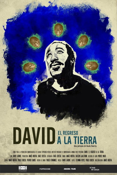 Póster de David. El regreso a la tierra
