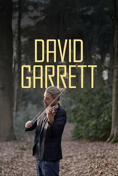 Póster de David Garrett: A World Star Privately