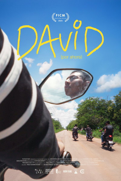Póster de David (Por Ahora)