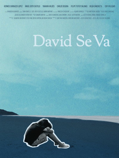 Póster de David Se Va