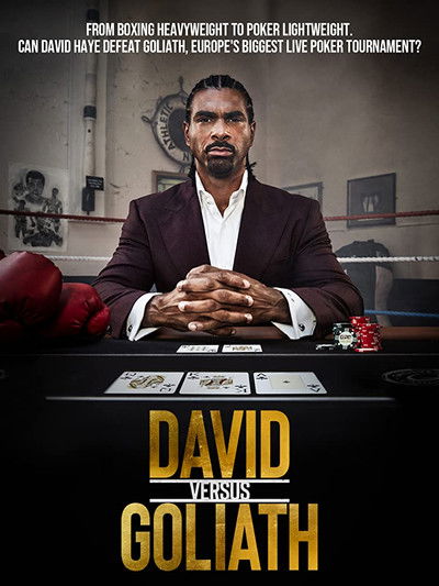 Póster de David vs Goliath