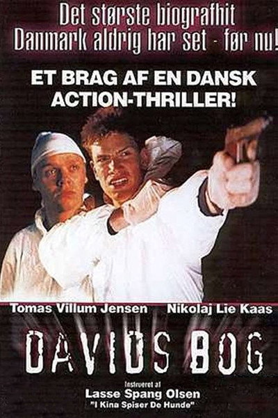 Póster de David's Book