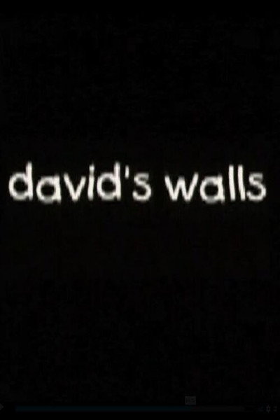 Póster de David's Walls