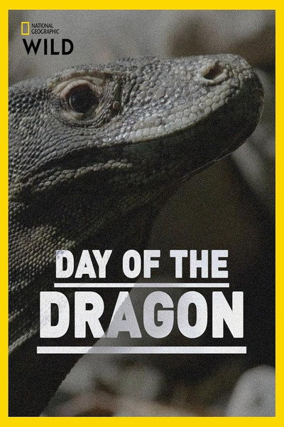 Póster de Day of the Dragon